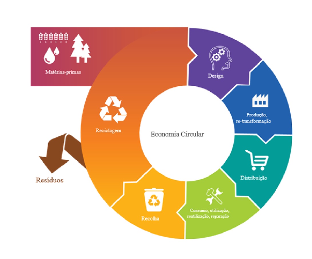Ein farbenfrohes Kreisdiagramm, das den gesamten Prozesszyklus der Kreislaufwirtschaft darstellt. Das Diagramm enthält beschriftete Segmente für Rohstoffe, Design, Produktion/Transformation, Vertrieb, Verbrauch/Nutzung/Wiederverwendung/Reparatur, Sammlung, Recycling und Abfallmanagement. Jede Stufe ist mit relevanten Symbolen dargestellt und in einer Endlosschleife verbunden, was das Konzept der industriellen Kreislaufwirtschaft perfekt veranschaulicht.